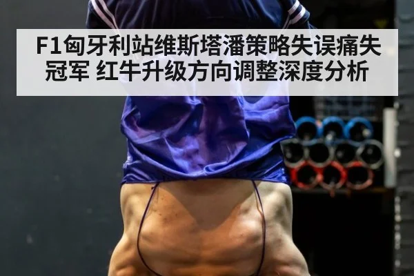 F1匈牙利站维斯塔潘策略失误痛失冠军 红牛升级方向调整深度分析