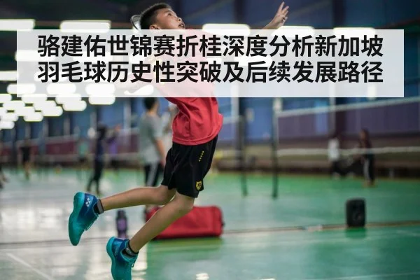 骆建佑世锦赛折桂深度分析新加坡羽毛球历史性突破及后续发展路径